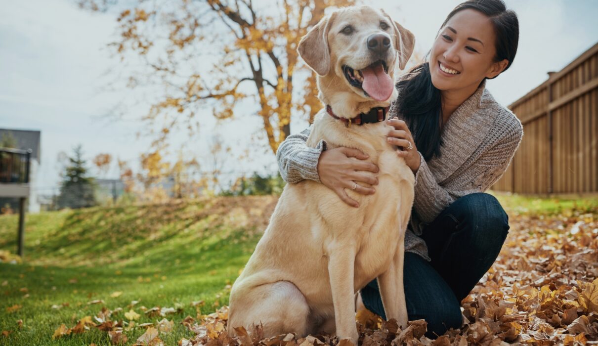 Easiest way to take care of pets