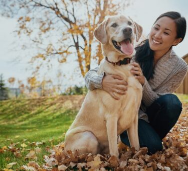 Easiest way to take care of pets