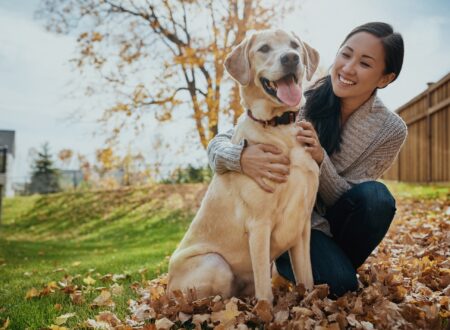 Easiest way to take care of pets