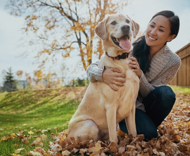 Easiest way to take care of pets