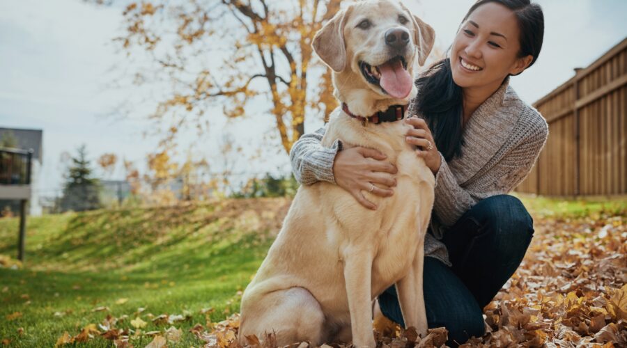 Easiest way to take care of pets