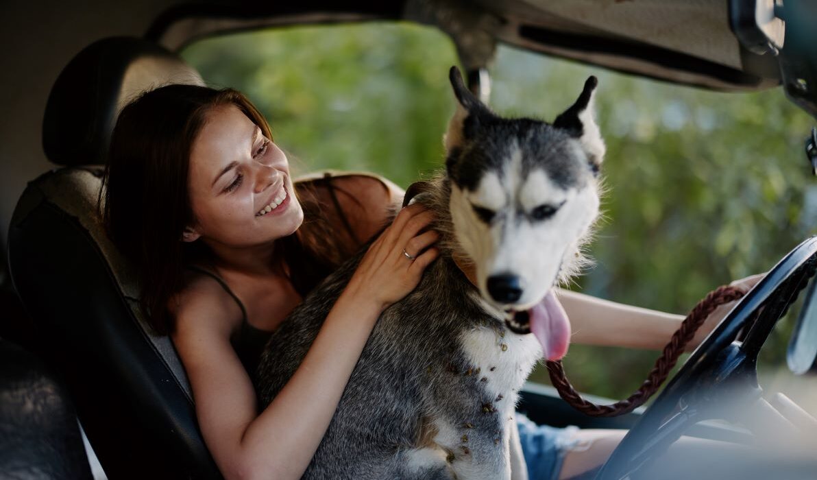 How to get pet hair out of Car