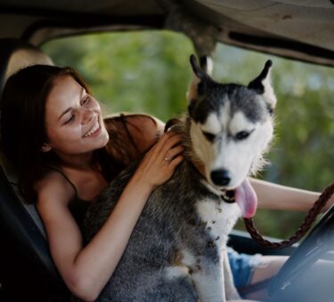 How to get pet hair out of Car