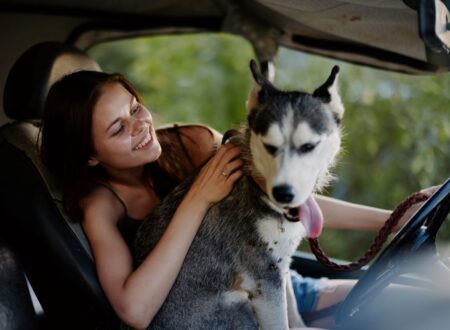 How to get pet hair out of Car