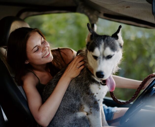 How to get pet hair out of Car