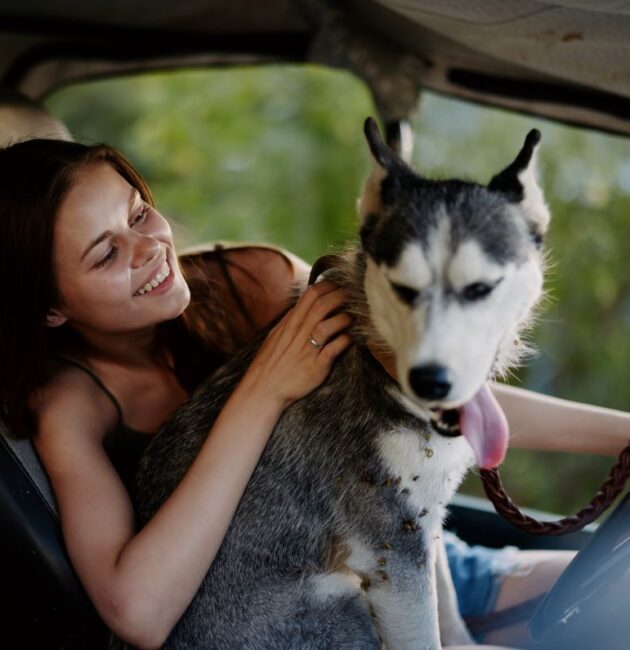 How to get pet hair out of Car