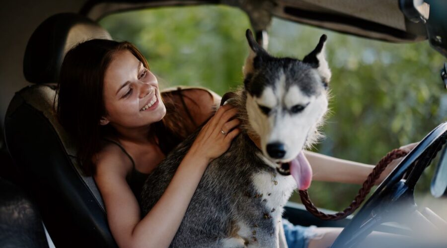 How to get pet hair out of Car