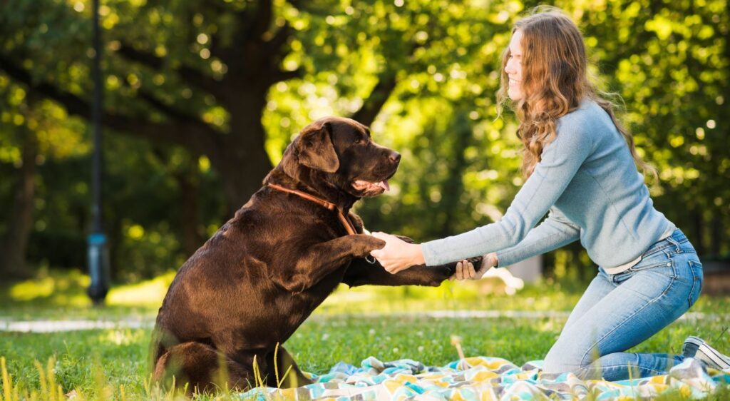 side-view-woman-enjoying-with-her-dog-garden