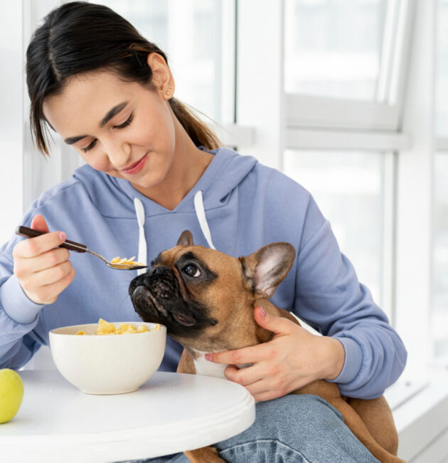 Simple and Healthy Diet Tips to Keep Your Pets Happy and Healthy